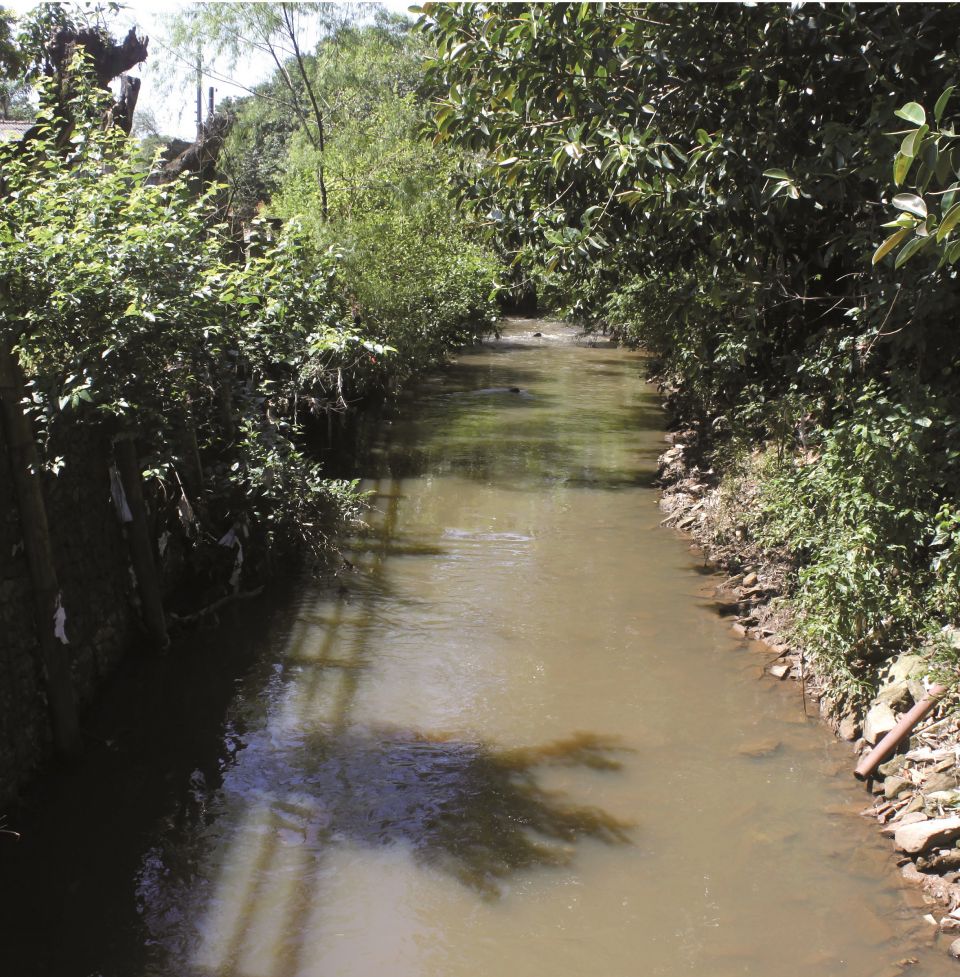 Revista Servioeste Saúde e Meio Ambiente - Arroio Barnabé, um importante afluente do Rio Gravataí, sofre com a poluição.